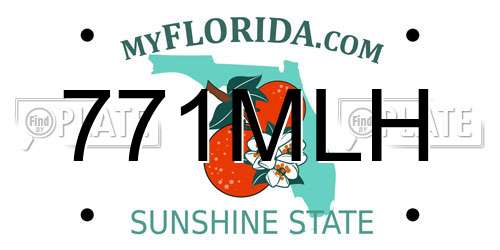 771MLH Florida License Plate