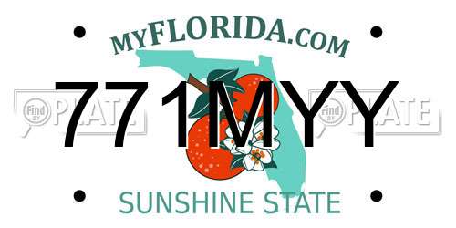 771MYY Florida License Plate