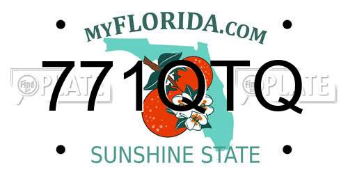 771QTQ Florida License Plate