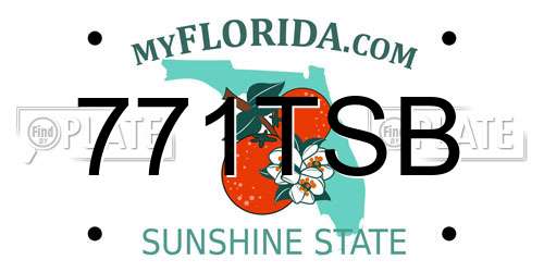 771TSB Florida License Plate