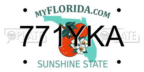 771YKA Florida License Plate
