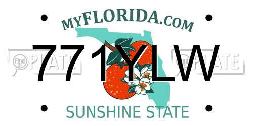 771YLW Florida License Plate