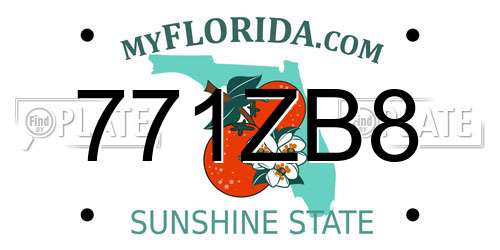 771ZB8 Florida License Plate