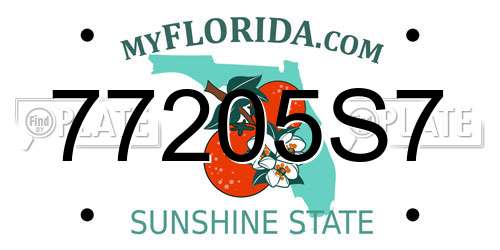 77205S7 Florida License Plate
