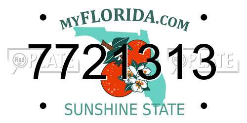 7721313 Florida License Plate