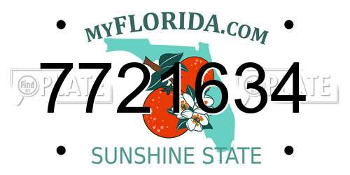 7721634 Florida License Plate