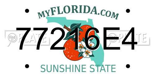 77216E4 Florida License Plate