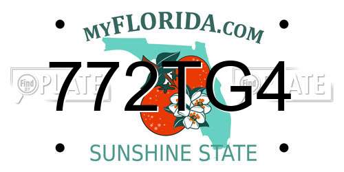 772TG4 Florida License Plate