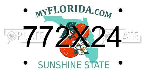 772X24 Florida License Plate
