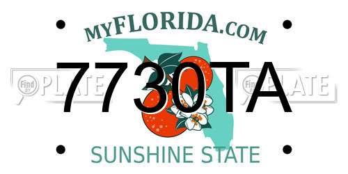 7730TA Florida License Plate
