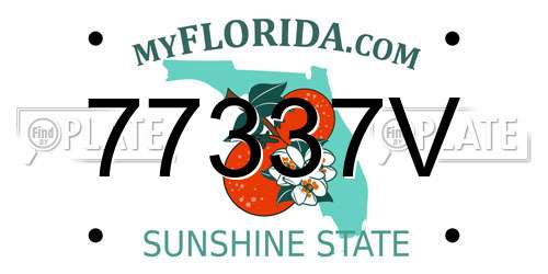 77337V Florida License Plate