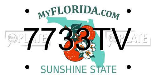 7733TV Florida License Plate