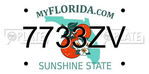 7733ZV Florida License Plate