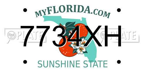 7734XH Florida License Plate