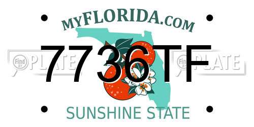 7736TF Florida License Plate