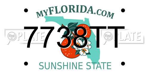 7738TT Florida License Plate