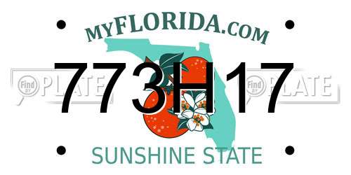 773H17 Florida License Plate