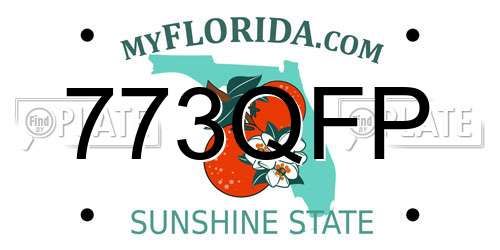 773QFP Florida License Plate