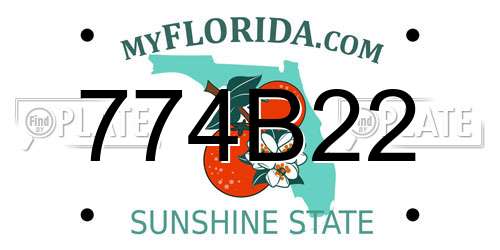 774B22 Florida License Plate