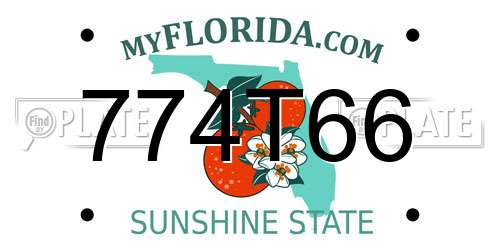 774T66 Florida License Plate
