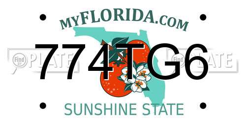 774TG6 Florida License Plate