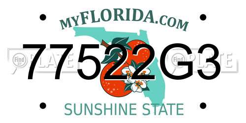 77522G3 Florida License Plate