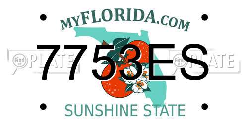 7753ES Florida License Plate