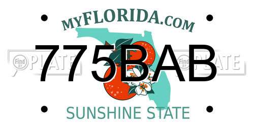 775BAB Florida License Plate