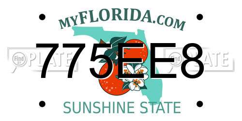 775EE8 Florida License Plate