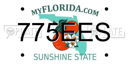 775EES Florida License Plate