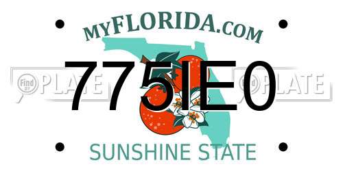 775IE0 Florida License Plate