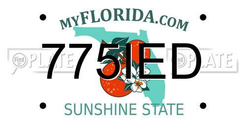 775IED Florida License Plate