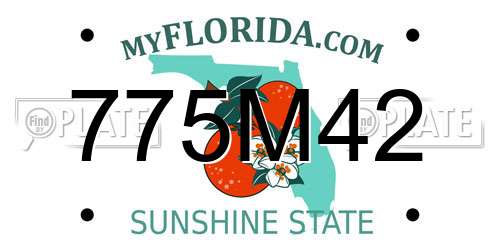 775M42 Florida License Plate