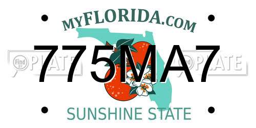 775MA7 Florida License Plate