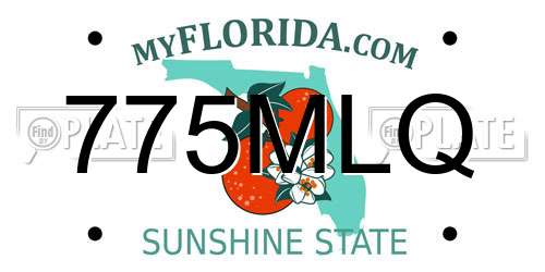 775MLQ Florida License Plate