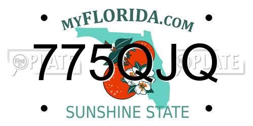 775QJQ Florida License Plate