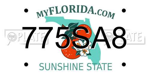 775SA8 Florida License Plate