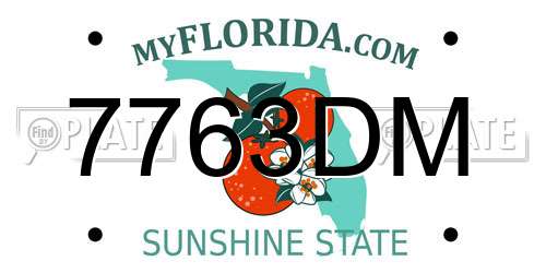 7763DM Florida License Plate