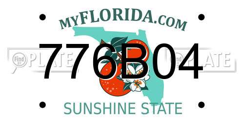 776B04 Florida License Plate
