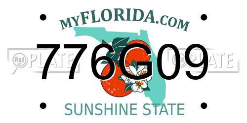 776G09 Florida License Plate