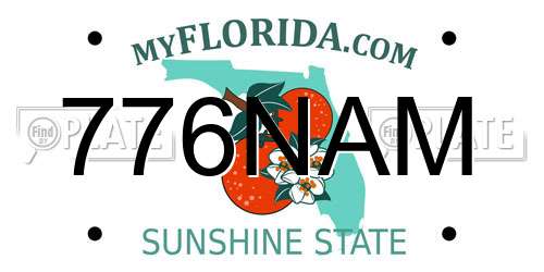 776NAM Florida License Plate