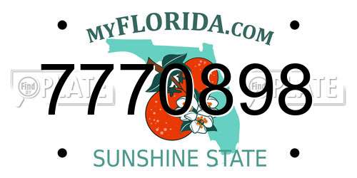 7770898 Florida License Plate