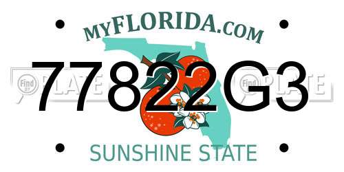 77822G3 Florida License Plate