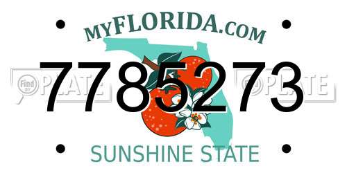 7785273 Florida License Plate