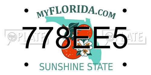 778EE5 Florida License Plate