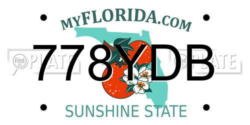 778YDB Florida License Plate