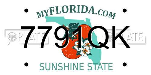 7791QK Florida License Plate