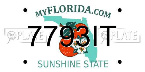 7793IT Florida License Plate