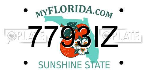 7793IZ Florida License Plate