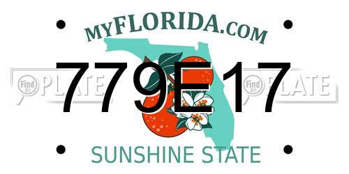 779E17 Florida License Plate